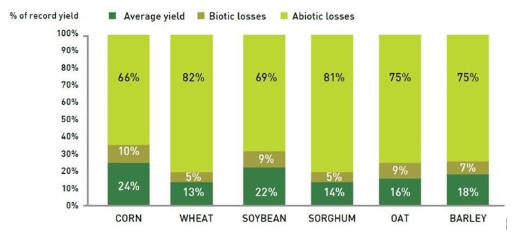 Source: Biochemistry and Molecular Biology of Plants, Buchanan, Gruissem, Jones, American Society of Plant Physiologists, 2000.